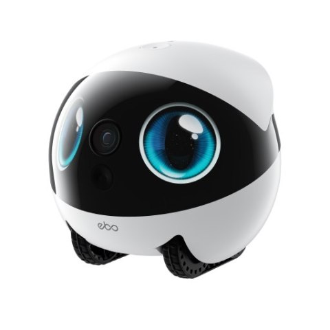 EnaBot - EBO AIR 2S - domowy, mobilny robot monitorujący (biały)