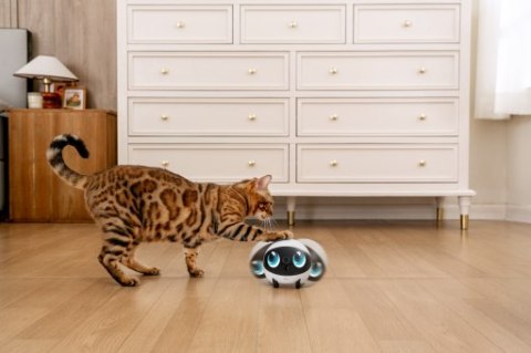 EnaBot - EBO AIR 2S - domowy, mobilny robot monitorujący (biały)