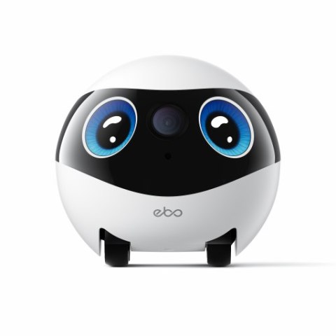Enabot - EBO Mini - robot domowy do monitoringu i opieki nad zwierzętami