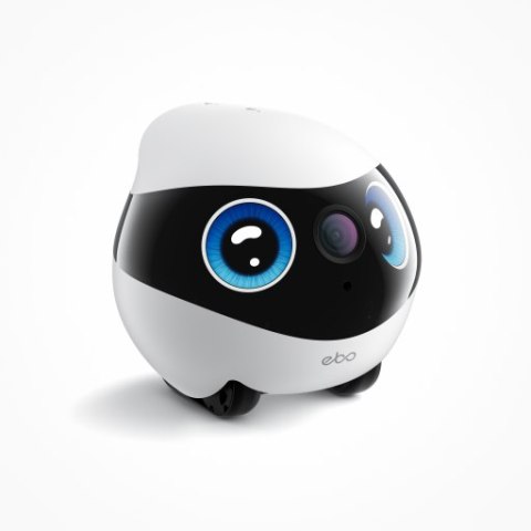 Enabot - EBO Mini - robot domowy do monitoringu i opieki nad zwierzętami