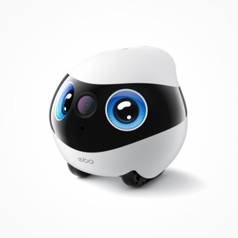 Enabot - EBO Mini - robot domowy do monitoringu i opieki nad zwierzętami