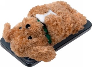 Laut MAGMOJI Wallet - portfel kompatybilny z MagSafe (Ginger Dog)