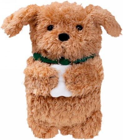Laut MAGMOJI Wallet - portfel kompatybilny z MagSafe (Ginger Dog)