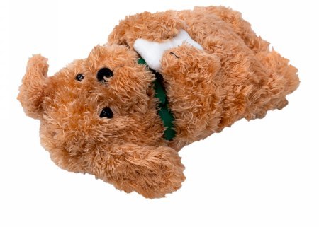 Laut MAGMOJI Wallet - portfel kompatybilny z MagSafe (Ginger Dog)