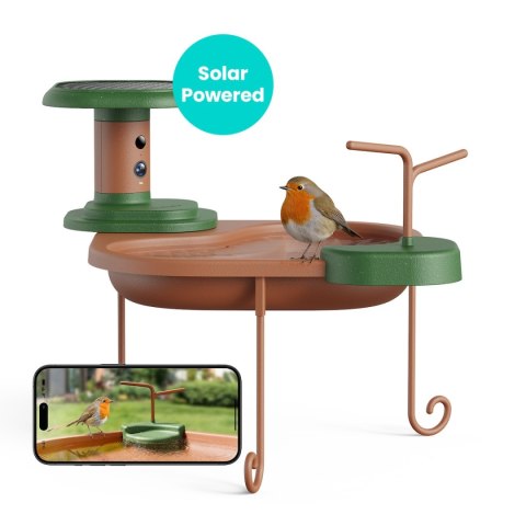 Birdfy Birdbath Jolly V - poidełko dla ptaków z kamerą