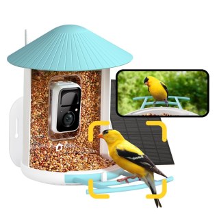 Birdfy Feeder AI - karmnik dla ptaków z kamerą i AI z rozpoznawaniem gatunków
