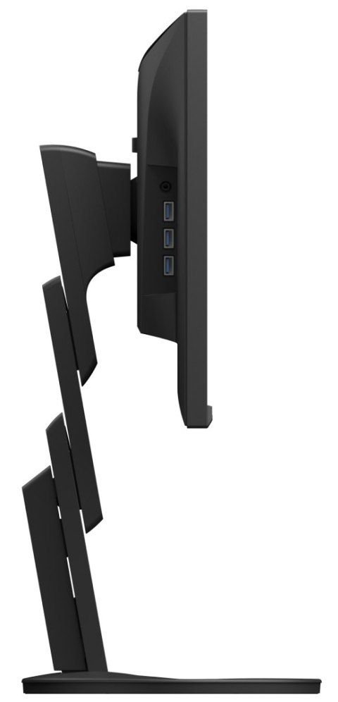 EIZO FlexScan EV2490-BK - monitor 23,8", 1920 x 1080, FullHD, 16:9 (czarny)