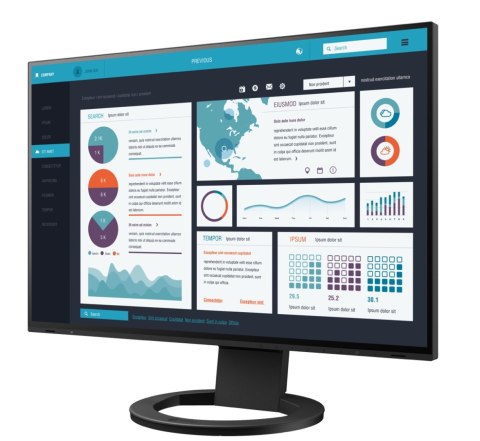 EIZO FlexScan EV2495-BK - monitor 24", 1920 x 1200, WUXGA, 16:10, z daisy chain, karta sieciowa (czarny)