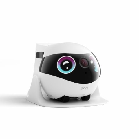 Enabot - EBO Mini Sport - robot domowy z innowacyjnym, wyciszonym silnikiem do monitoringu i opieki nad zwierzętami