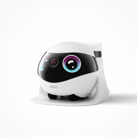 Enabot - EBO Mini Sport - robot domowy z innowacyjnym, wyciszonym silnikiem do monitoringu i opieki nad zwierzętami
